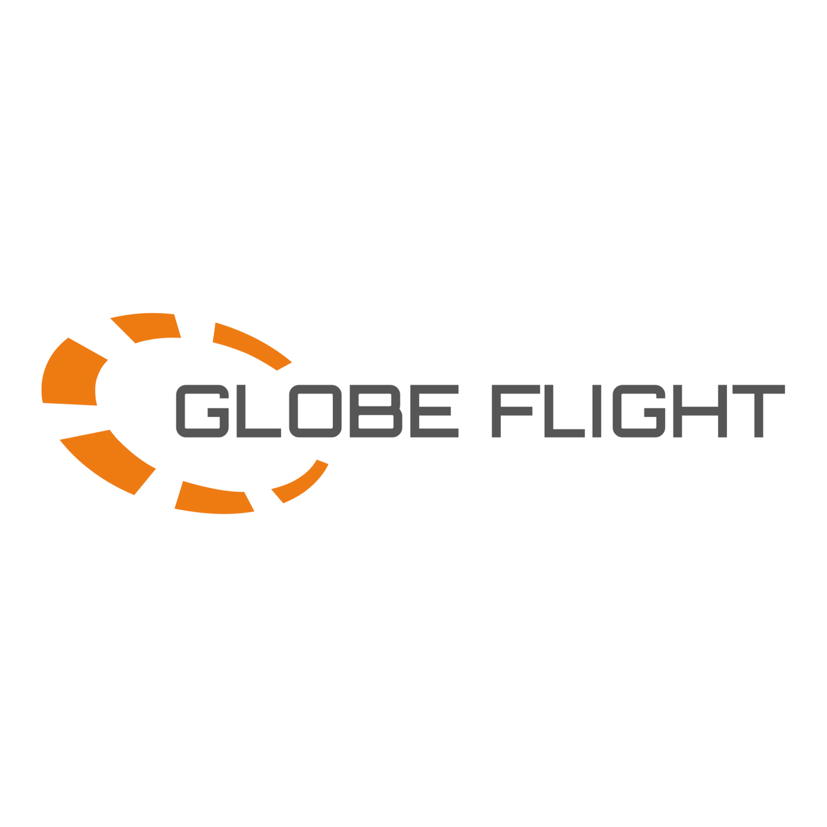Logo Globe Flight