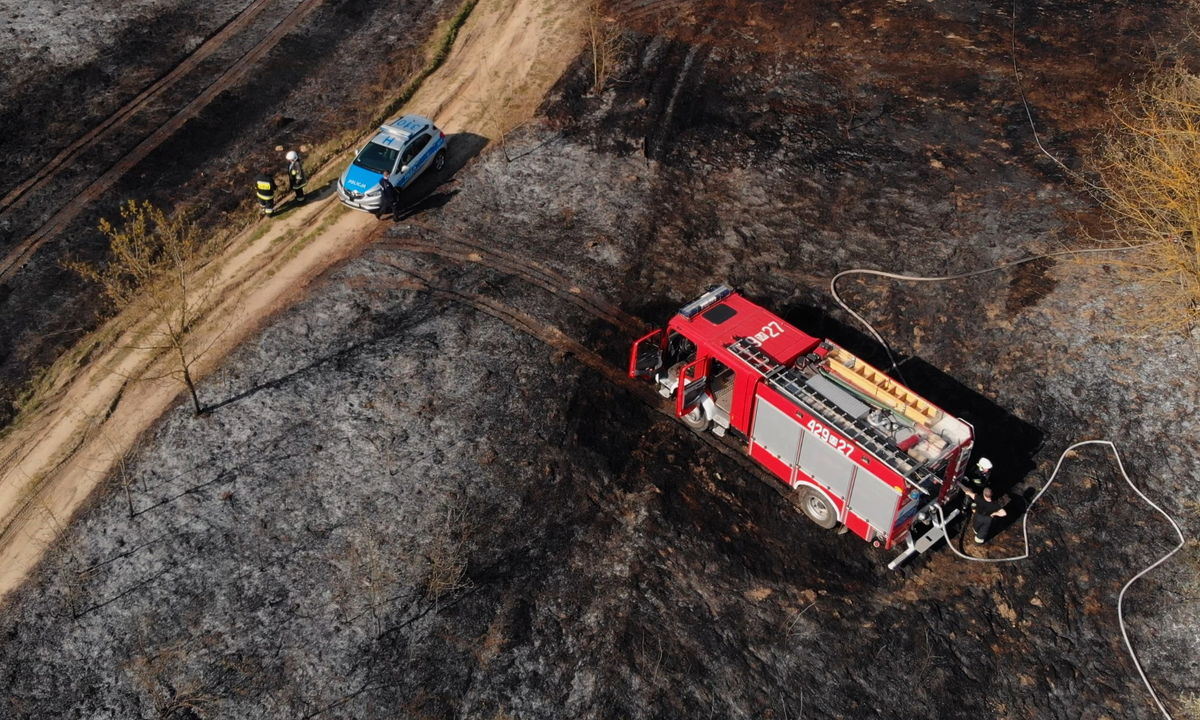 Feuerwehrauto in einem abgebrannten Landschaftsgebiet