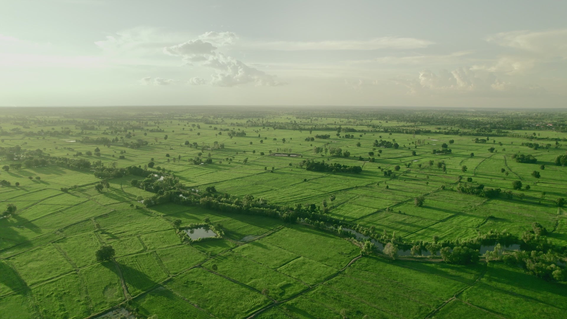 DJI Mavic 3 Multispektral